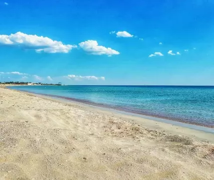 Участок в Крым, Сакский район, с. Штормовое  (6.0 сот.)