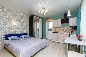 1-к кв. Новосибирская область, Новосибирск ул. Фрунзе, 49/2 (30.0 м)