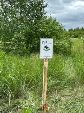 Участок в Челябинская область, Красноармейский муниципальный округ, ...