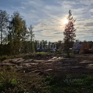 Участок в Новосибирская область, Новосибирский район, Барышевский ...