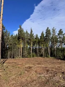 Участок в Свердловская область, Ревда ул. Облепиховая (10.0 сот.)