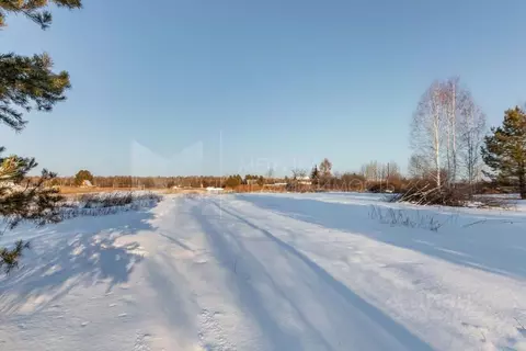 Участок в Тюменская область, Тюменский район, Янтарное ДНТ  (7.4 сот.)