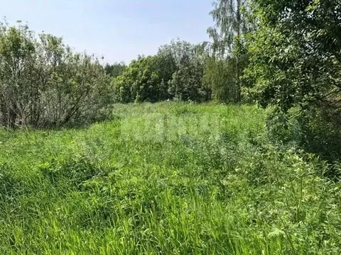 Участок в Вологодская область, Усть-Кубинский муниципальный округ, д. ...