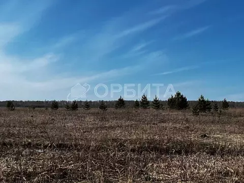 Участок в Тюменская область, Тюменский район, д. Елань 14 (9.07 сот.)