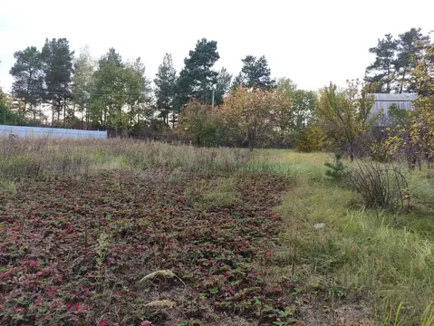 Дом в Воронежская область, Рамонский район, Новоживотинновское с/пос, ...