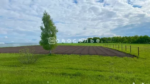 Участок в Рязанская область, Спасский район, Троицкое с/пос, д. ...