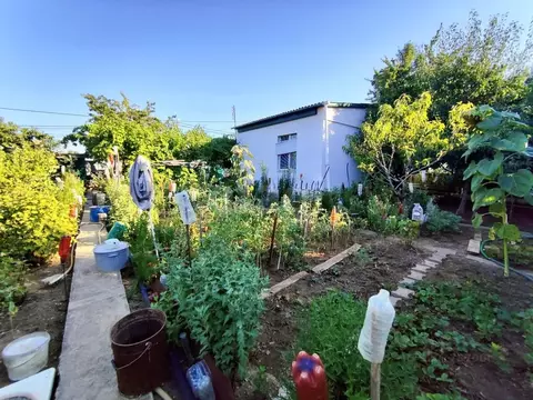 Дом в Севастополь Скиф садоводческое товарищество, 290 (40 м)