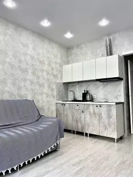 Студия Санкт-Петербург аллея Арцеуловская, 9 (19.0 м)