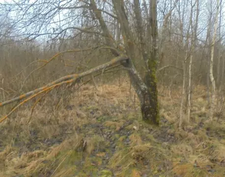 Участок в Московская область, Яхрома Дмитровский муниципальный округ,  ...