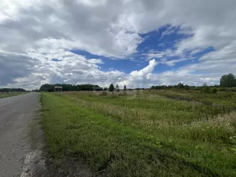 Участок в Тюменская область, Тюменский муниципальный округ, д. Марай  ...