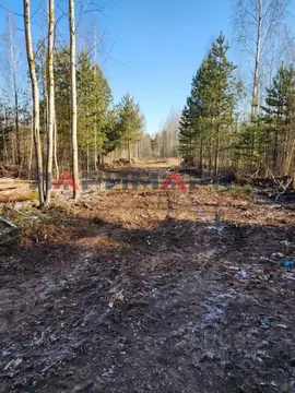 Участок в Московская область, Богородский городской округ, Сокол СНТ ...