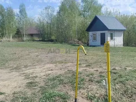 Участок в Алтайский край, Барнаул городской округ, пос. Бельмесево ...