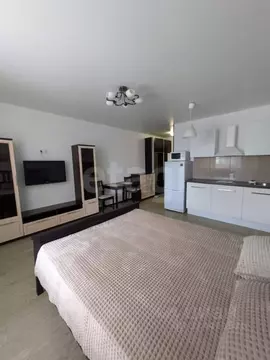 Студия Новосибирская область, Новосибирск Лазурная ул., 32 (35.0 м)