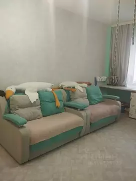 2-к кв. Красноярский край, Красноярск наб. Ярыгинская, 13 (52.0 м)