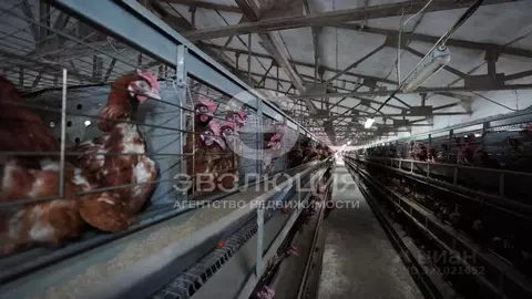 Производственное помещение в Ставропольский край, Кочубеевский ...