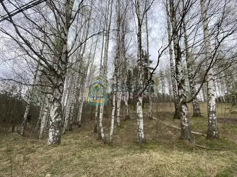 Участок в Ленинградская область, Всеволожский район, Колтушское ...