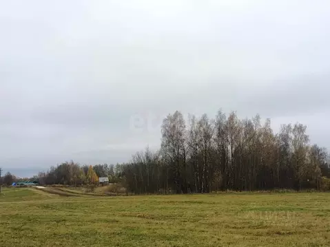 Участок в Владимирская область, Кольчугинский муниципальный округ, д. ...