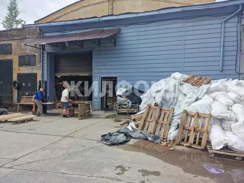Производственное помещение в Новосибирская область, Новосибирск ул. ...
