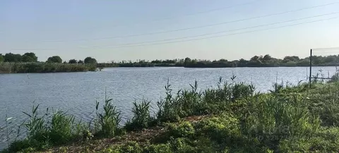 Участок в Краснодарский край, Динской район, Новотитаровское с/пос, ...