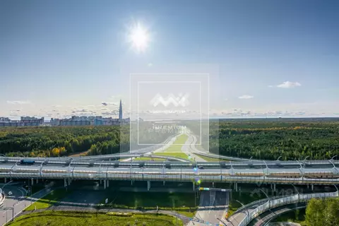 2-к кв. Санкт-Петербург Планерная ул., 63к1 (132.5 м)