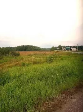 Участок в Тверская область, Конаковский муниципальный округ, Медик ...