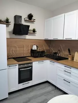 1-к кв. Санкт-Петербург ул. Плесецкая, 24 (35.0 м)