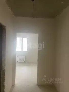 Студия Адыгея, Майкоп ул. К.А. Васильева, 2/1 (19.8 м)