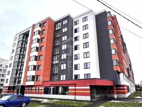 Студия Ленинградская область, Всеволожский район, Романовское с/пос, ...