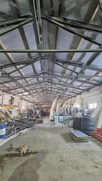 Производственное помещение в Ленинградская область, Гатчинский район, ...