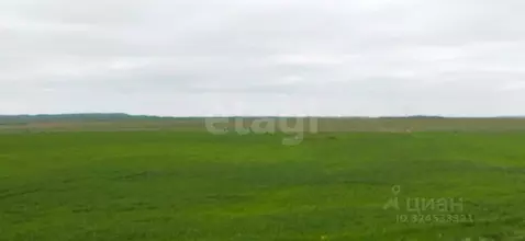 Участок в Крым, Ленинский район, Заветненское с/пос, с. Заветное ул. ...