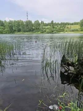 Участок в Новосибирская область, Новосибирский район, Станционный ...