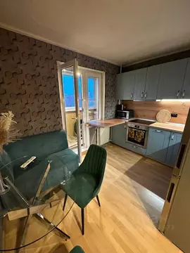 1-к кв. Санкт-Петербург Камышовая ул., 56К3 (42.1 м)