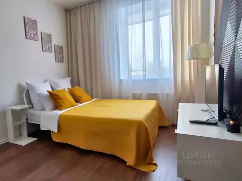 Студия Ленинградская область, Тосно г. Тосненский район, Тосненское ...