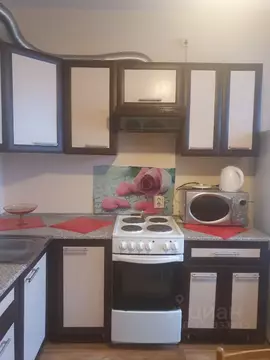 1-к кв. Санкт-Петербург дор. Муринская, 74к1 (40.0 м)