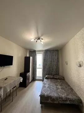 Студия Московская область, Домодедово Южный мкр, ул. Курыжова, 26к1 ...