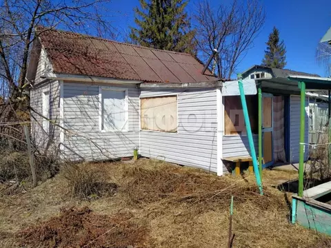 Дом в Новосибирская область, Новосибирск Золотая Горка СНТ,  (40 м)