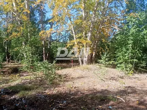 Участок в Челябинская область, Аргаяшский район, Кузнецкое с/пос, с. ...