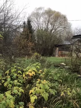 Участок в Москва д. Чегодаево, Чегодаево СНТ, 62 (5.0 сот.)