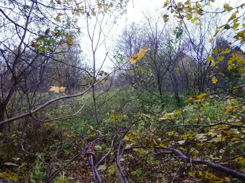 Участок в Московская область, Подольск городской округ, д. Потапово  ...