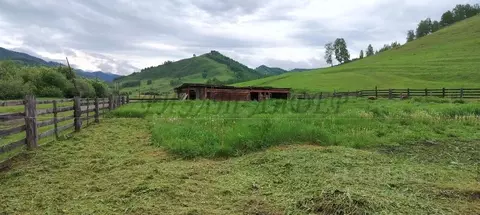Участок в Алтай, Шебалинский район, с. Камлак Алтайская ул. (9.11 ...