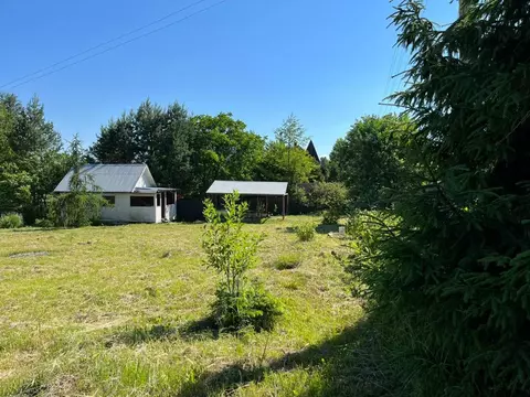 Продается дача в СНТ Нива