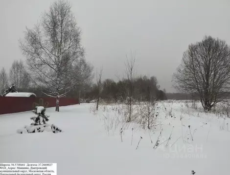 Участок в Московская область, Дмитровский муниципальный округ, д. ...