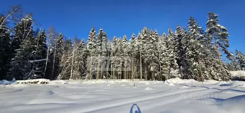 Участок в Московская область, Одинцовский городской округ, Весна СНТ  ...