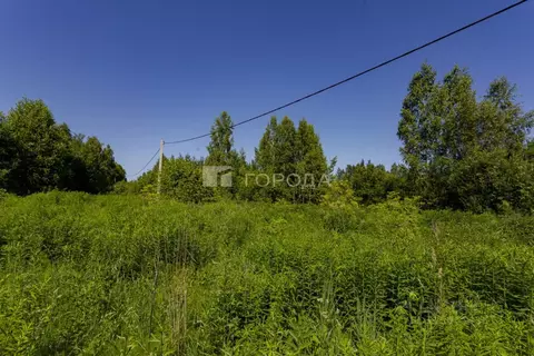 Участок в Кемеровская область, Новокузнецкий муниципальный округ, пос. ...