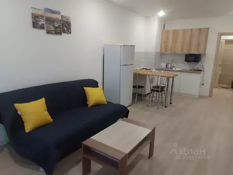 Студия Пензенская область, Пенза ул. 65-летия Победы, 29 (31.0 м)