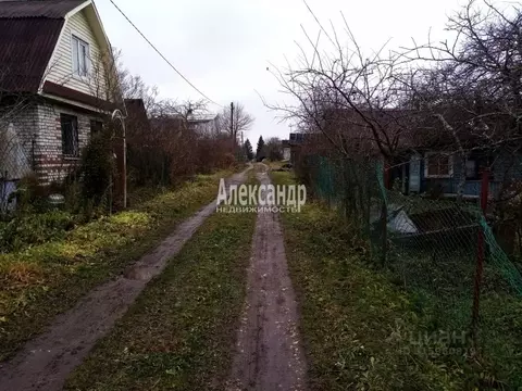 Участок в Ленинградская область, Волхов Локомотив СНТ, ул. Мичуринская ...