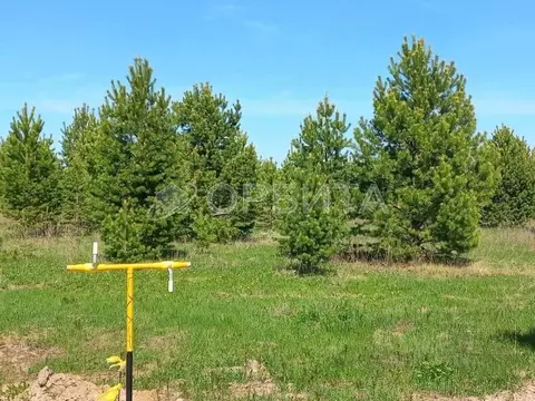 Участок в Тюменская область, Тюменский муниципальный округ, Каменское ...