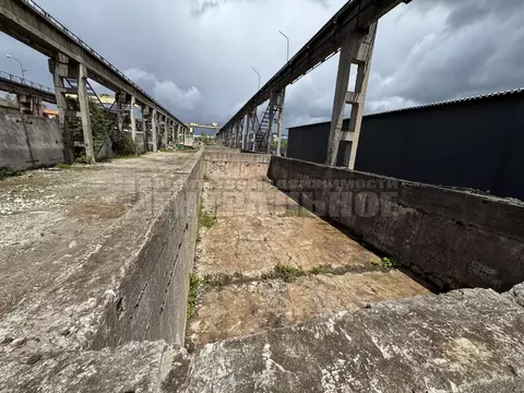 Помещение свободного назначения в Смоленская область, Смоленск ул. ...