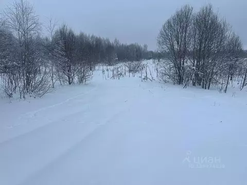 Участок в Московская область, Рузский муниципальный округ, д. Барынино ...