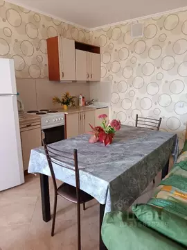 Студия Московская область, Клин Майданово мкр, 2к2 (28.6 м)